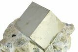 Natural Pyrite Cube In Rock - Navajun, Spain #361854-1